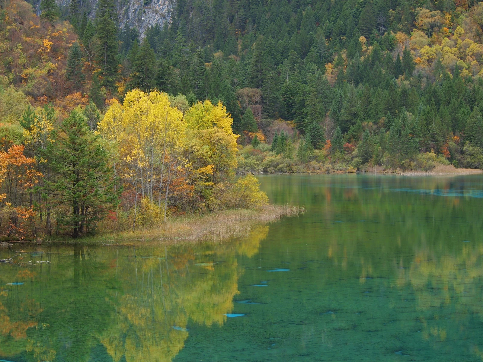 Autumn trees reflected in the clear green water of Five Flower Lake in Jiuzhaigou
