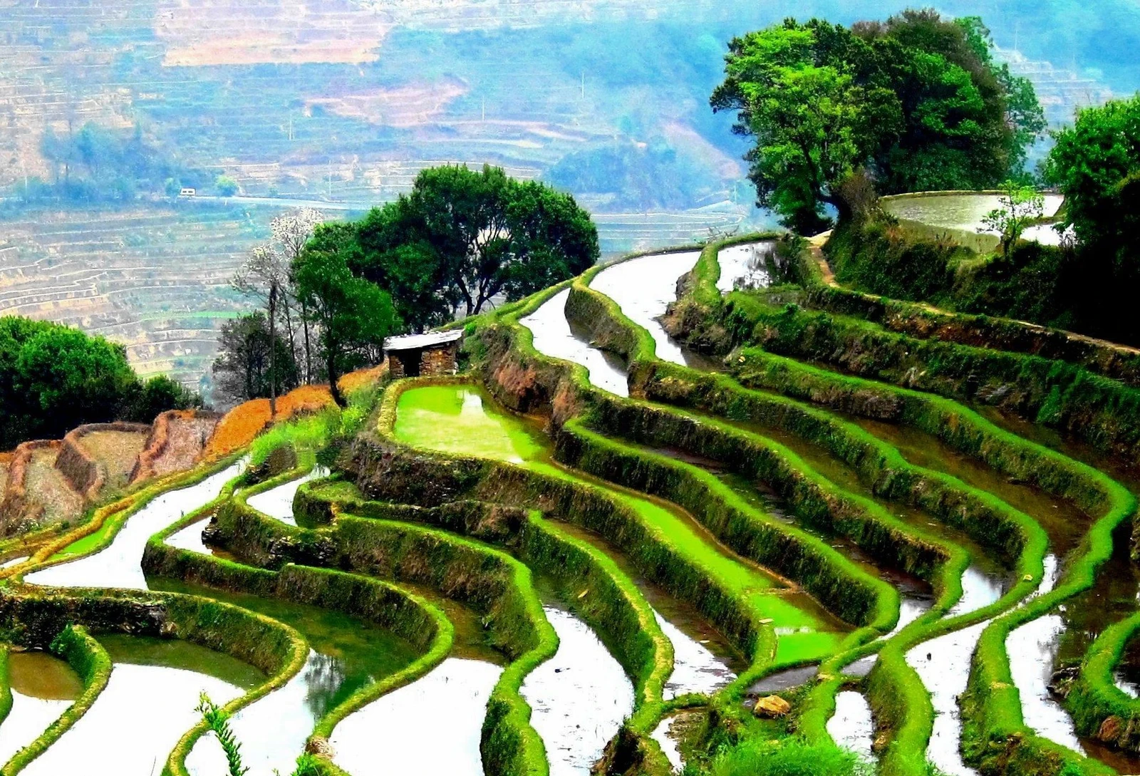 Sunlight catches the curves of water-filled rice terraces in Yuanyang