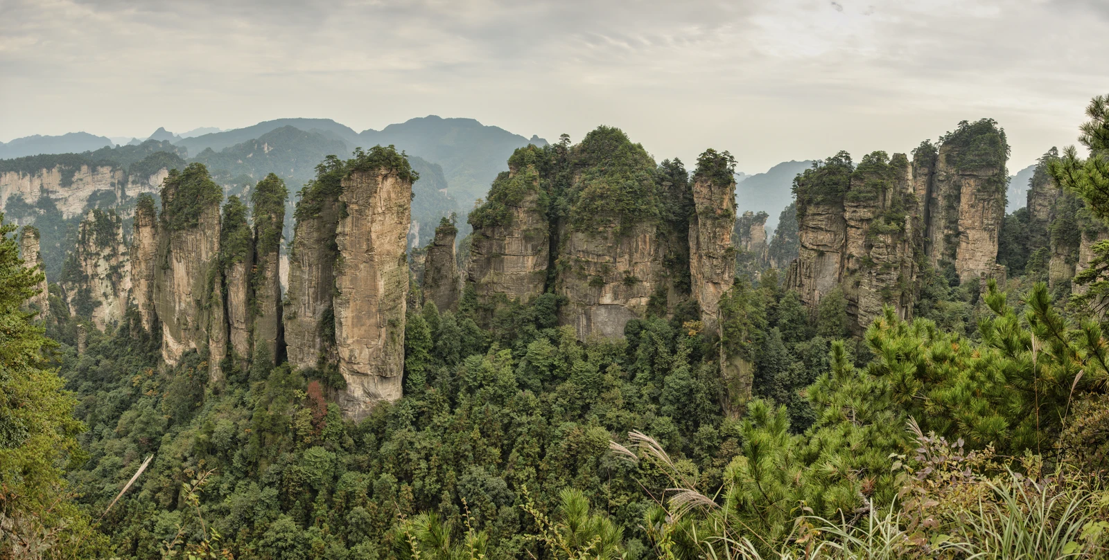 A wide panorama of forested sandstone pillars at Huangshizhai in Wulingyuan